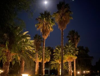 Terreno En Excelente Condominio Lo Pinto.